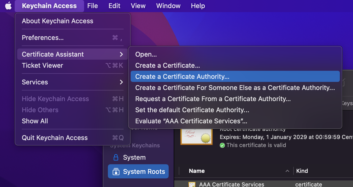 Opstarten van de Certificate Authority